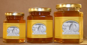 PlainHoneyReshoot 2241